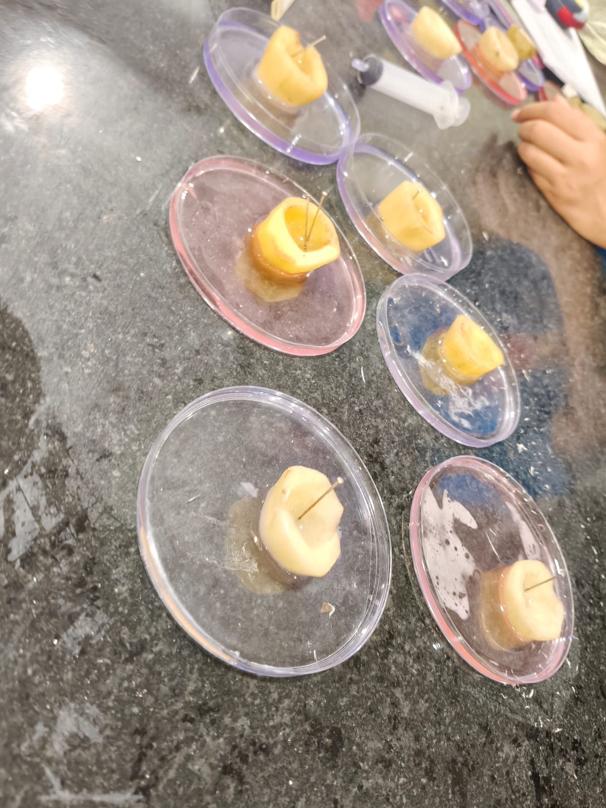 Prof. Rajendra Singh Exploratory